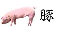 豚