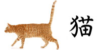 猫