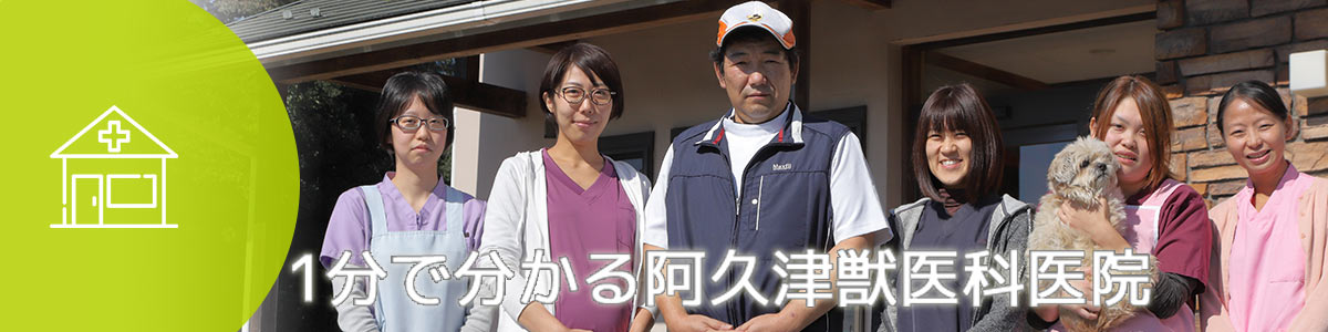1分で分かる!阿久津獣医科医院