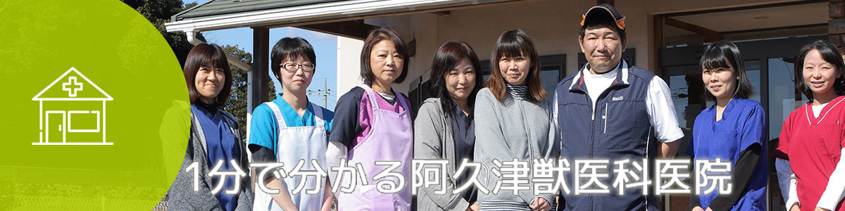 1分で分かる!阿久津獣医科医院
