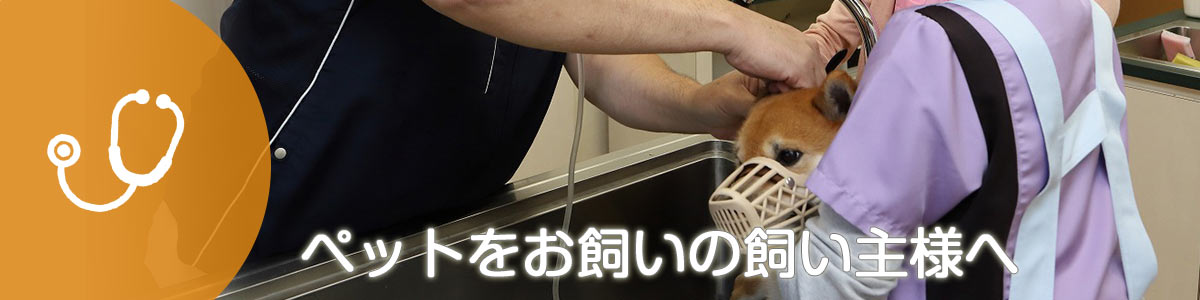 ペットをお飼いの飼い主様へ