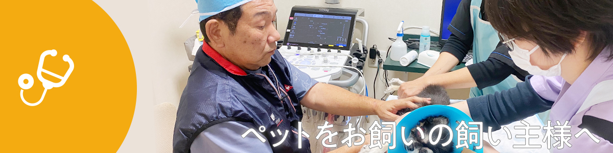 ペットをお飼いの飼い主様へ