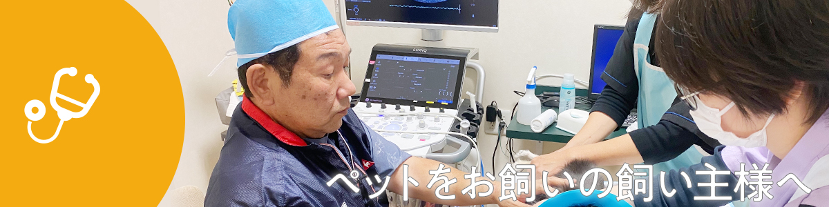 ペットをお飼いの飼い主様へ